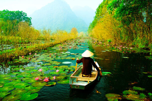 ‘in Yaban Hayatını İnceledik