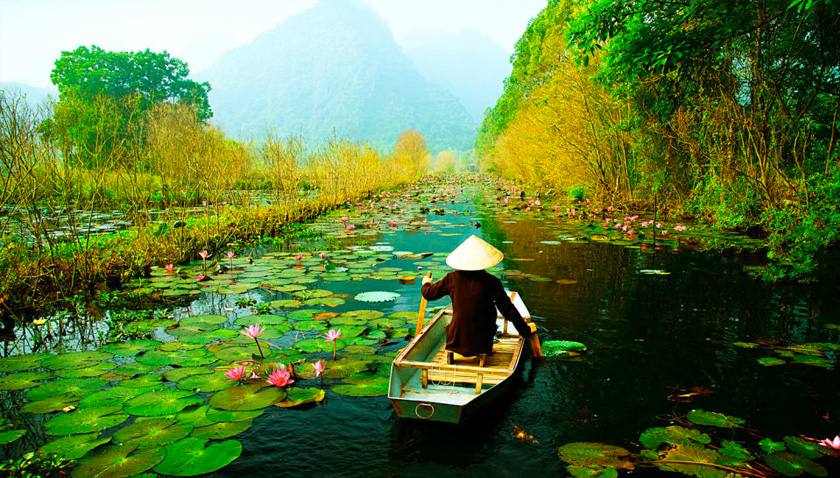 ‘in Yaban Hayatını İnceledik
